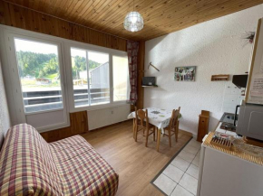 Studio fonctionnel aux pieds des pistes avec balcon et Wi-Fi, Laveissière - FR-1-787-64
